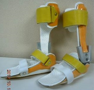 tBIQc SF5202