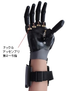 IY[ PL441099