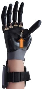 IY[ PL441052