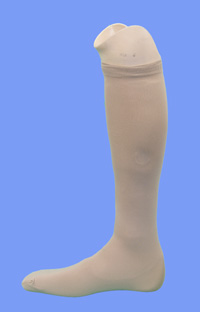  TG4036
