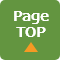 pagetop